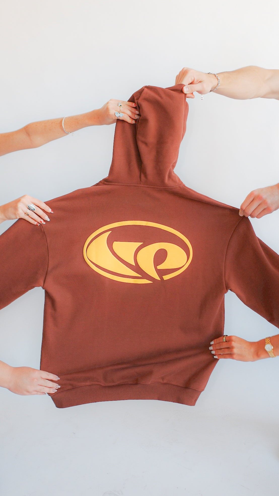Wholesome Propaganda Brown Logotype Hoodie