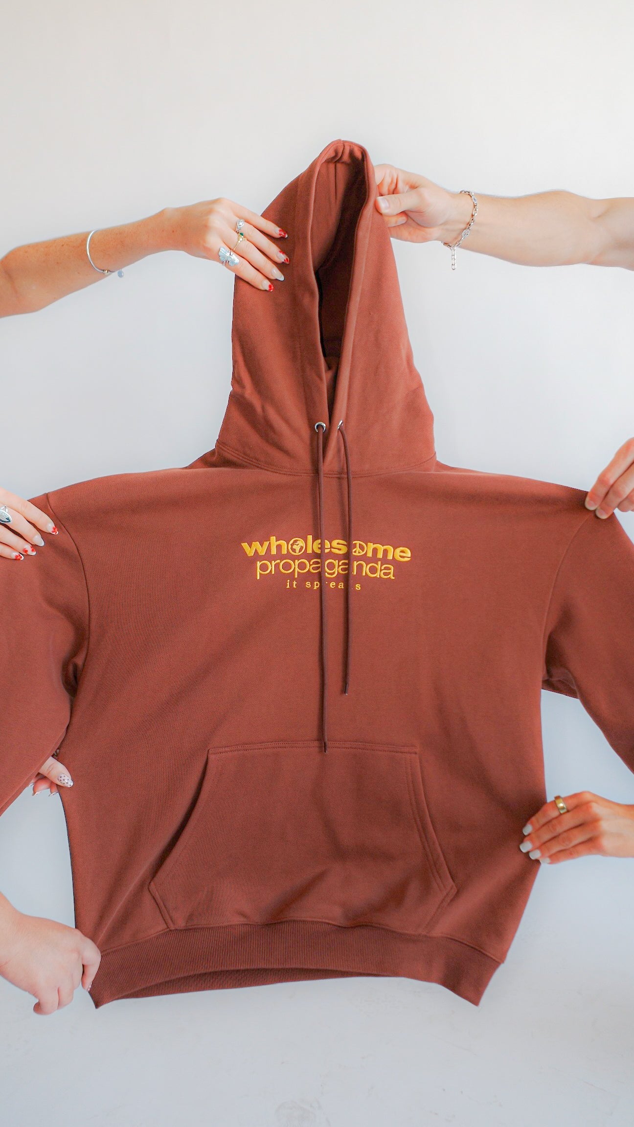 Wholesome Propaganda Brown Logotype Hoodie