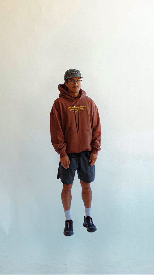 Wholesome Propaganda Brown Logotype Hoodie